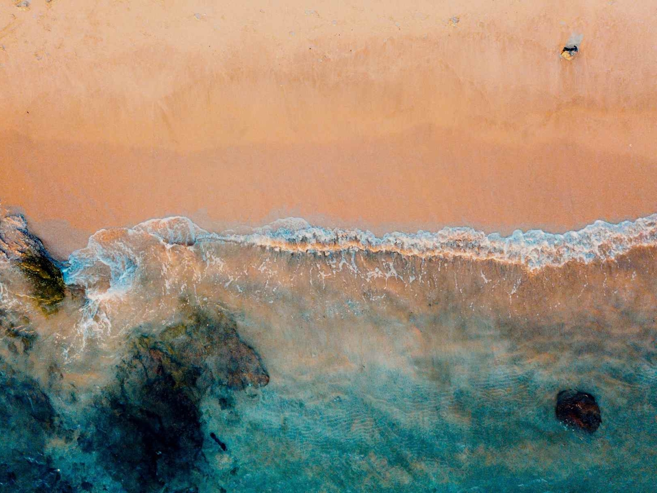 aerial shot of beach