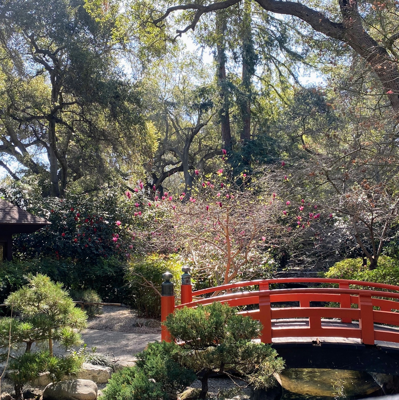A red rounded bridge at Descanso Gardens in Los Angeles 